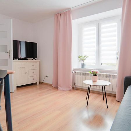 Apartament Rosiczka Apartment Duszniki Zdroj Bagian luar foto